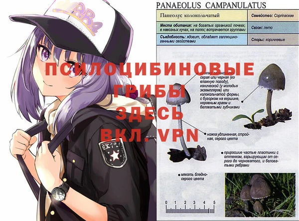 мефедрон Коряжма